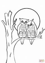 Coloring Owls Couple Pages Printable Owl Cartoon Drawing Print sketch template