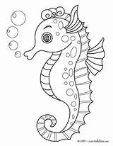 Coloring Pages Hellokids Seahorse sketch template