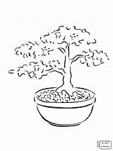 Bonsai Tree Coloring Pages Miniature Drawing Printable Drawings Clipart Trees Kids Color sketch template