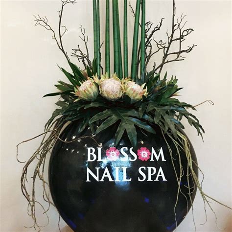blossom nail spa  utc health beauty sarasota sarasota
