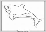 Orca Whale Pages Abcworksheet sketch template