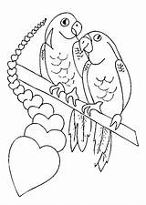 Perroquet Hugolescargot Amoureux Gabon sketch template