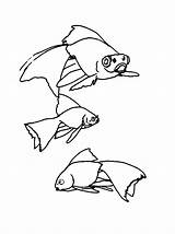 Vissen Kleurplaat Kleurplaten Fisch Ikan Mewarnai Marins Poisson Malvorlagen Coloriages Malvorlage Animaatjes Pesce Pesci Bergerak Bewegende Animaties Animierte Fische Persoonlijke sketch template