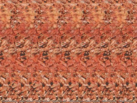Some Sexy 3d Stereograms And Such Gallery Ebaums World