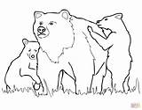 Bear Grizzly Coloring Pages Cubs Drawing Bears Mother Chicago Line Outline Printable Drawings Color Cartoon Baby Vector Logo Step Print sketch template