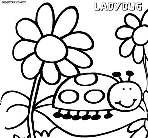 ladybug coloring pages coloring pages    print