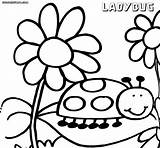 Ladybug Coloringway sketch template