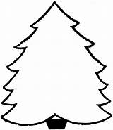 Tree Coloring Christmas Pages Blank Printable Trees Outline Holiday Children Template Print Winter Printables sketch template