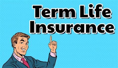 term life insurance rates  top companies instant quotes