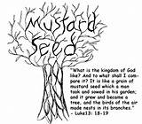 Mustard Seed Plant Coloring Template Faith Pages sketch template