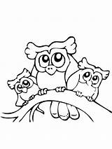 Owls Colouring Coloringpage Ca Pages Colour Check Category sketch template
