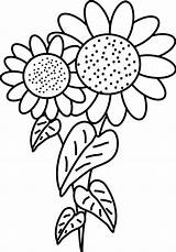 Bunga Matahari Putih Nimbus Bouquet sketch template