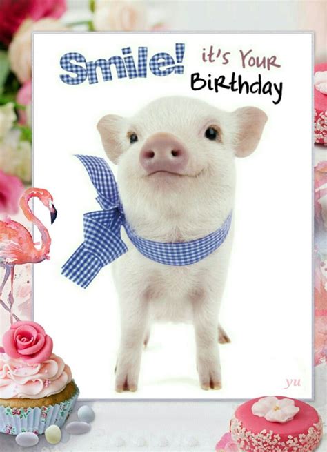 pin  eiheka  birthday happy birthday pig cute happy birthday