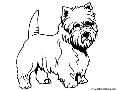 yorkie coloring pages outline  printable coloring pages