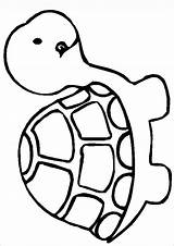 Turtle Turtles Tortoise Kleurplaten Peuters Getdrawings Clipartmag Snapping Tortuga Animalitos Molde Nemo Finding Páginas Animali Fogli Topkleurplaat Aquatic Yandex sketch template