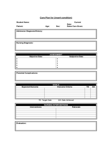 plan  care template   templates   word excel