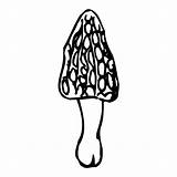 Fungi Pilze Pflanzen Fensterbilder Homeschooldressage sketch template