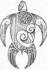 Turtle Coloring Tattoo Zentangle Printable Drawing Artwork Original Polynesian Pages Tattoos Drawings Doodle Waves Inspired Many Line Info sketch template