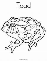 Toad Frog Ropucha Kolorowanki Toads Dzieci Bestcoloringpagesforkids Twistynoodle Amphibians sketch template