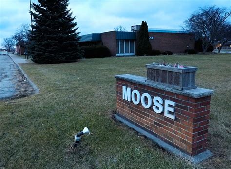 moose lodge    sold  local news daily journalcom