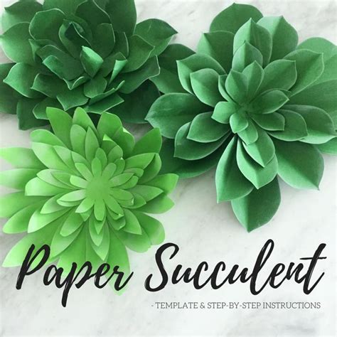 paper succulent plant template succulent template plate etsy paper