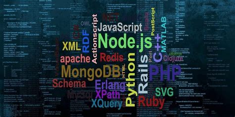 programming languages    popular websites