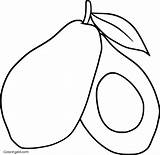 Avocados Avocado Coloringall sketch template
