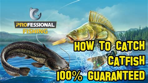 professional fishing  catfish  guaranteed youtube