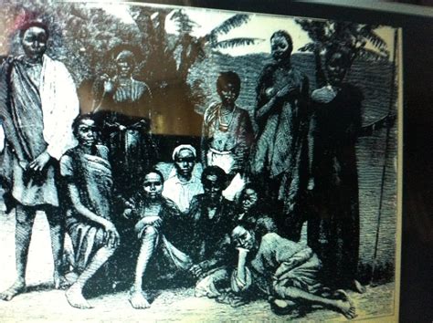the black social history black social history