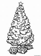 Arbol Ausmalen Weihnachtsbaum Craciun Kolorowanka Navidenos Sheets Colorat Holiday sketch template