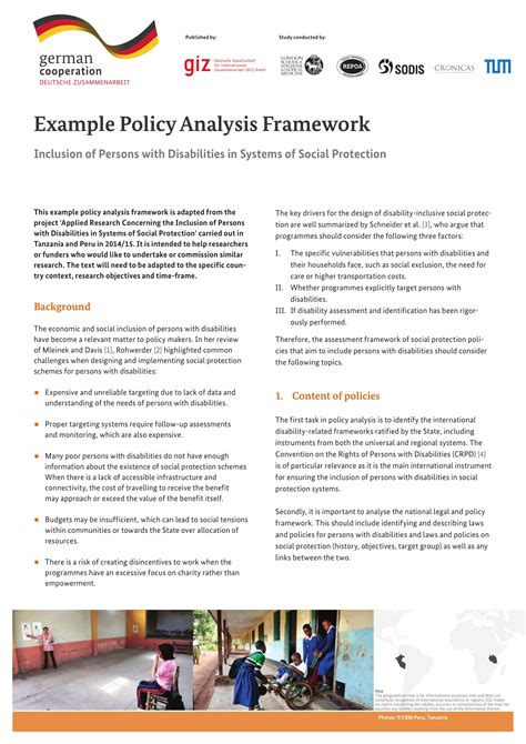 policy analysis template  examples format  examples