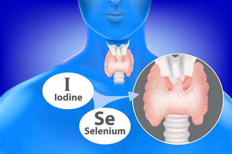 selenium  thyroid diseases