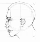 Face Draw Side Step Pro Proportions Ear Hair Faces Facial Neck Add sketch template