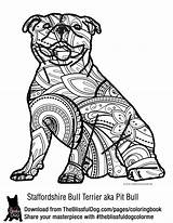 Coloring Pages Pitbull Bull Dog Staffordshire Terrier Colouring Book Puppy American Adult Color Pit Print Animal Theblissfuldog Printable Breeds Terriers sketch template