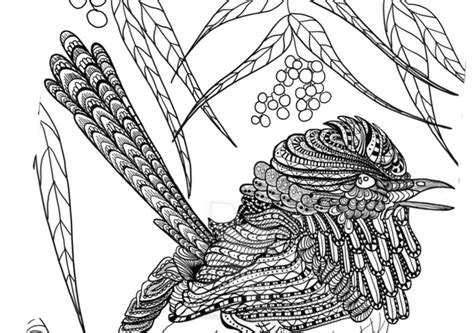 robin bird coloring pages  kids robin coloring pages