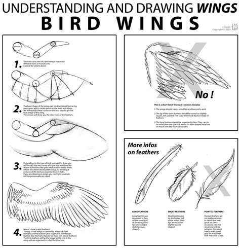 bird wings tutorial  joanniegoulet  deviantart