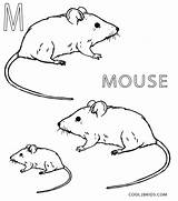 Mouse Coloring Pages Printable Kids Cool2bkids sketch template