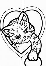 Coloring Cute Pages Kitten Kids sketch template