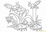Pages Spring Bees Coloring Beetles Color Kids Print Nature sketch template