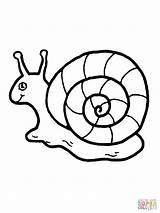 Snail Melc Schnecke Escargot Ausmalbild Ausmalbilder Colorat Slug Planse Coloriage Desene Snails Caracol Lumaca Kinderbilder Niedliche Slugs Caricatura Melci Cu sketch template