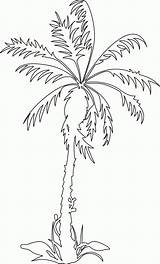 Palm sketch template