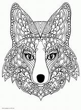 Coloring Pages Printable Adults Fox Animal Sheet Animals Adult Colouring Sheets Print Look Other sketch template
