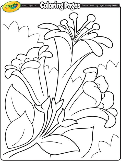 easter lily coloring page  getcoloringscom  printable