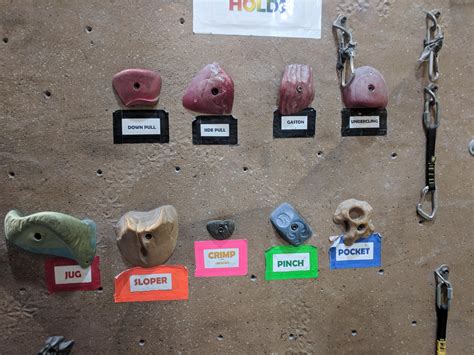 local gym  labeled examples   major types  holds rclimbing