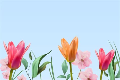 premium vector realistic beautiful spring background