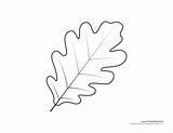 Leaf Oak Template Tree Drawing Coloring Templates Pages Kids Printables Leaves Printable Cut Maple Fall Timvandevall Print Color 2998 Drawings sketch template