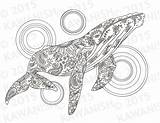 Whale Zentangle Komodo Gcssi sketch template