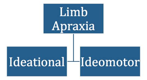 types  apraxia apraxia