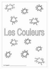 French Colours Les Couleurs Worksheets Tes Ks2 Booklet Activity Different Does Why Look Resources sketch template