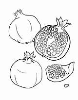 Pomegranate Drawing Clipart Coloring Printable Pages Fruit Transparent Colouring رمان Fruits Outline Color تطريز Muse Printables Mandala Draw Choose Board sketch template